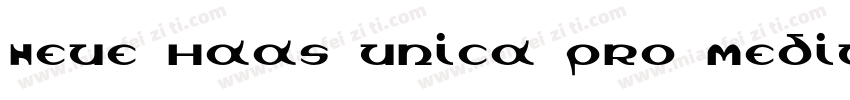 Neue Haas Unica Pro Medium字体转换